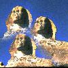 Multi Images of Sphinx